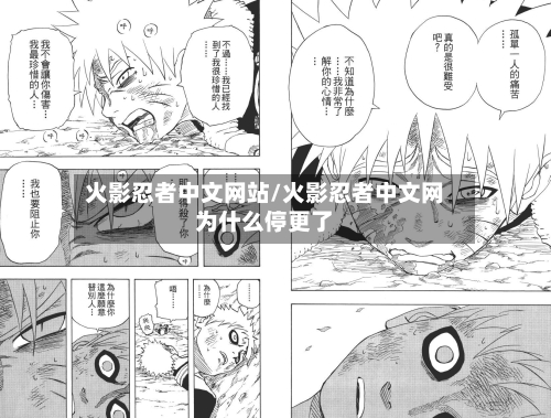 火影忍者中文网站/火影忍者中文网为什么停更了