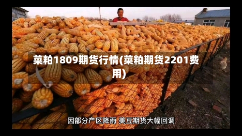 菜粕1809期货行情(菜粕期货2201费用)