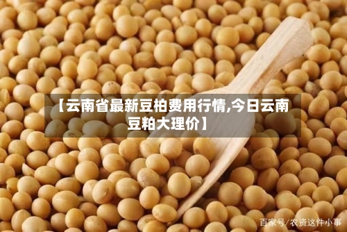 【云南省最新豆柏费用行情,今日云南豆粕大理价】-第3张图片