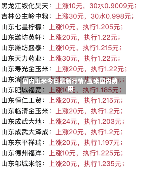 国内玉米今日最新行情/玉米国内费用