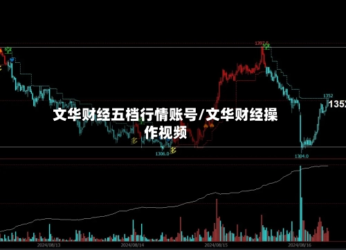 文华财经五档行情账号/文华财经操作视频