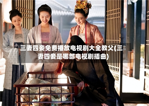 三妻四妾免费播放电视剧大全教父(三妻四妾是哪部电视剧插曲)