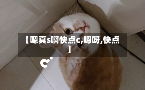 【嗯真s啊快点c,嗯呀,快点】-第2张图片