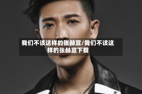 我们不该这样的张赫宣/我们不该这样的张赫宣下载-第2张图片
