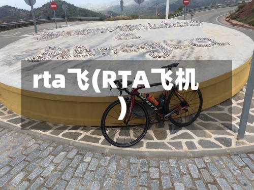 rta飞(RTA飞机)-第3张图片