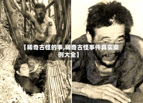 【稀奇古怪的事,稀奇古怪事件真实案例大全】-第2张图片