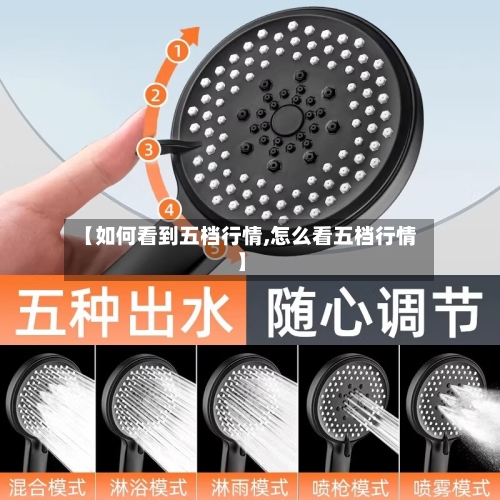 【如何看到五档行情,怎么看五档行情】