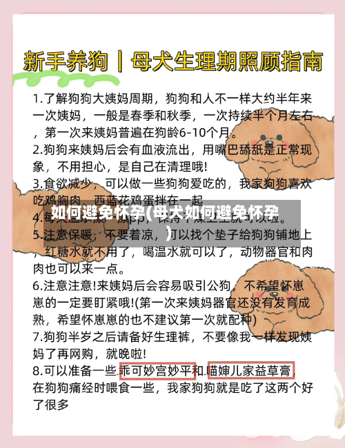 如何避免怀孕(母犬如何避免怀孕)