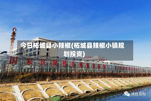 今日柘城县小辣椒(柘城县辣椒小镇规划投资)