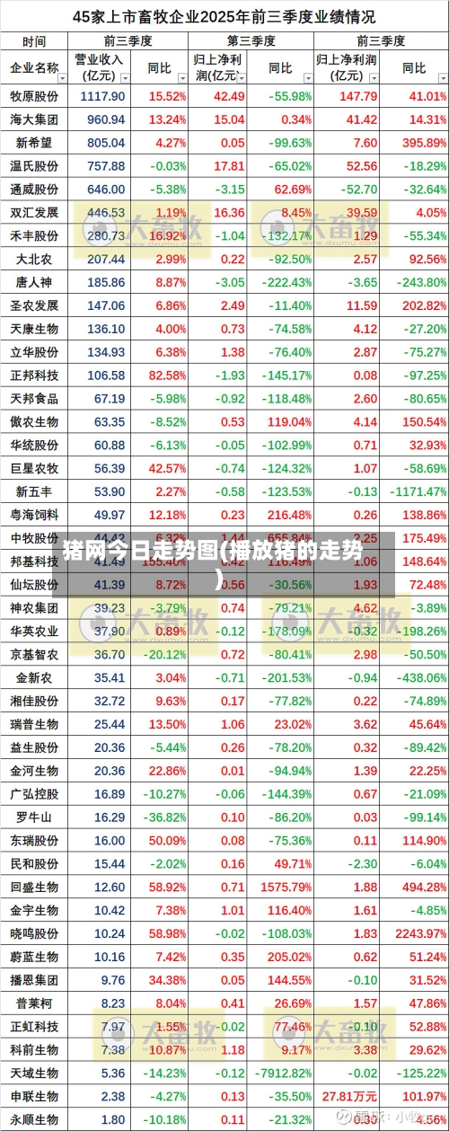 猪网今日走势图(播放猪的走势)