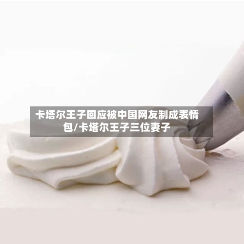 卡塔尔王子回应被中国网友制成表情包/卡塔尔王子三位妻子-第3张图片