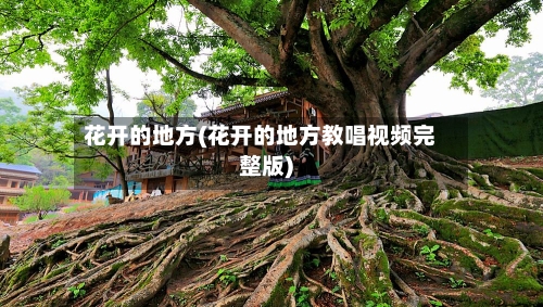 花开的地方(花开的地方教唱视频完整版)-第3张图片