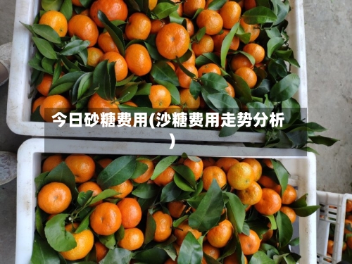 今日砂糖费用(沙糖费用走势分析)