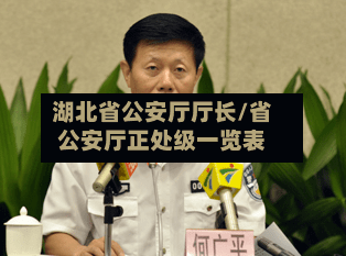 湖北省公安厅厅长/省公安厅正处级一览表