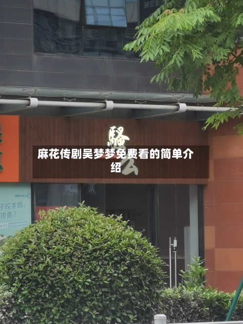 麻花传剧吴梦梦免费看的简单介绍-第2张图片