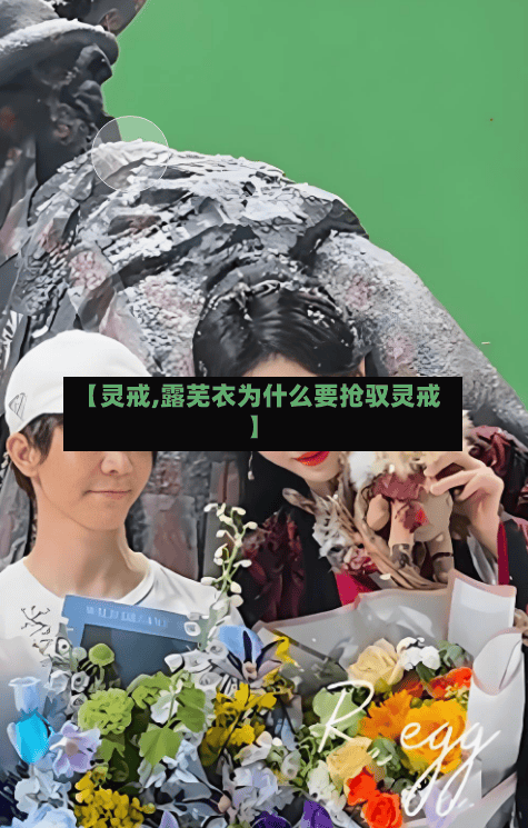 【灵戒,露芜衣为什么要抢驭灵戒】