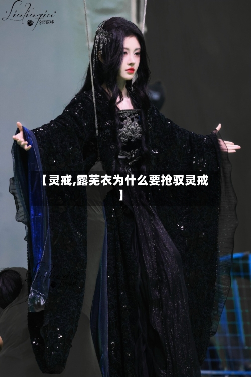 【灵戒,露芜衣为什么要抢驭灵戒】-第2张图片