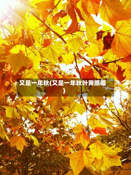 又是一年秋(又是一年秋叶黄原唱)