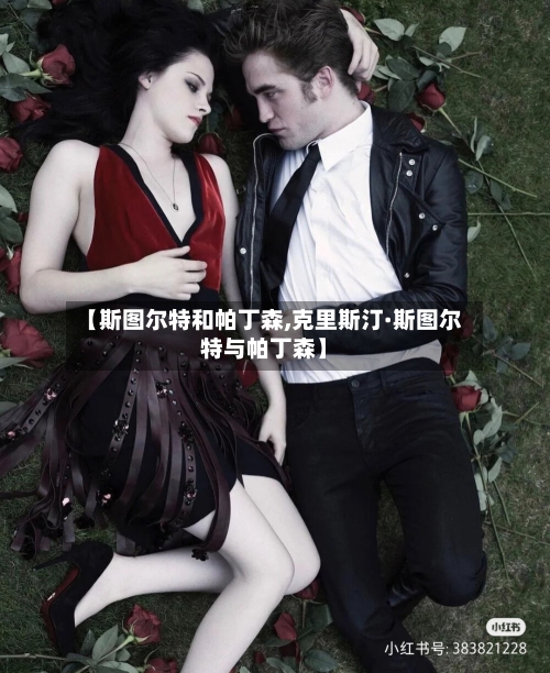 【斯图尔特和帕丁森,克里斯汀·斯图尔特与帕丁森】