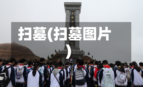 扫墓(扫墓图片)-第2张图片