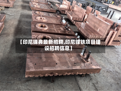 【印尼镍典最新招聘,印尼镍铁项目建设招聘信息】-第3张图片