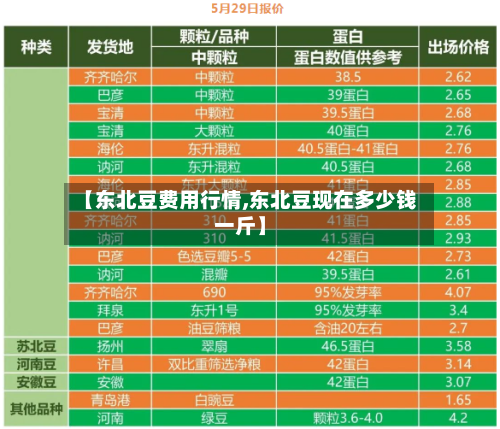 【东北豆费用行情,东北豆现在多少钱一斤】