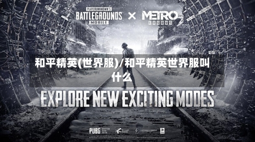 和平精英(世界服)/和平精英世界服叫什么