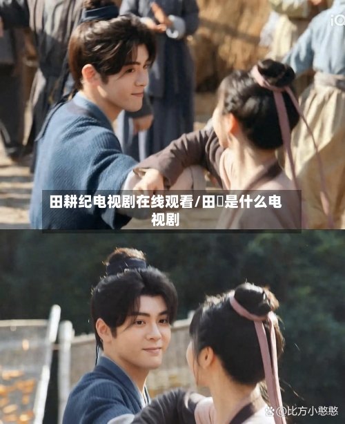 田耕纪电视剧在线观看/田湉是什么电视剧-第3张图片