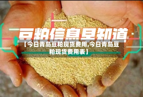 【今日青岛豆粕现货费用,今日青岛豆粕现货费用表】