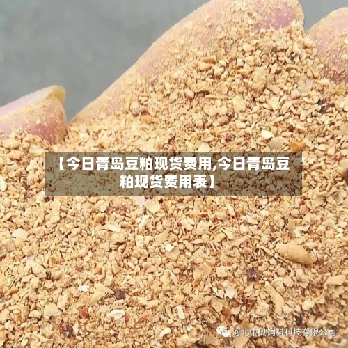【今日青岛豆粕现货费用,今日青岛豆粕现货费用表】-第3张图片