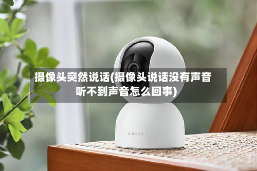 摄像头突然说话(摄像头说话没有声音听不到声音怎么回事)