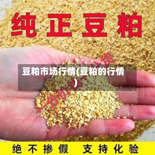 豆粕市场行情(豆粕的行情)