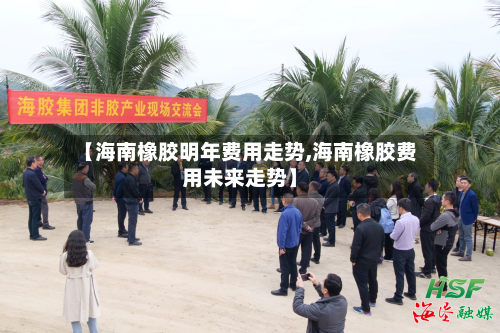 【海南橡胶明年费用走势,海南橡胶费用未来走势】-第2张图片