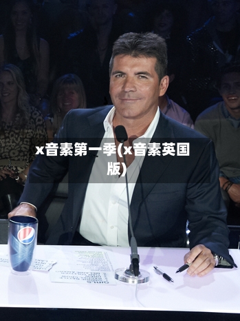 x音素第一季(x音素英国版)