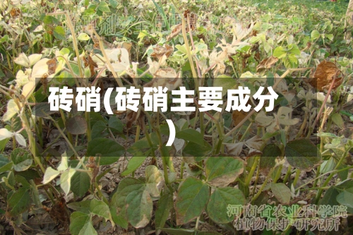 砖硝(砖硝主要成分)