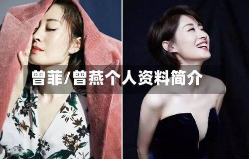 曾菲/曾燕个人资料简介-第2张图片