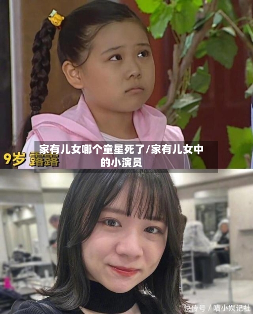 家有儿女哪个童星死了/家有儿女中的小演员-第2张图片
