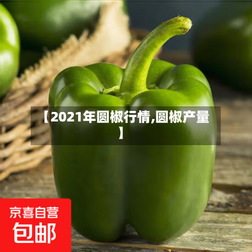 【2021年圆椒行情,圆椒产量】-第2张图片