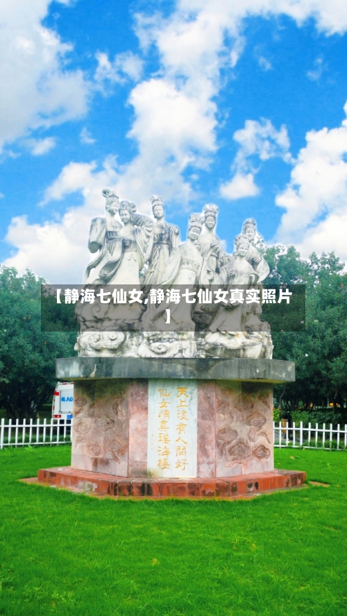 【静海七仙女,静海七仙女真实照片】