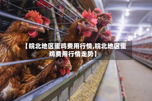 【皖北地区蛋鸡费用行情,皖北地区蛋鸡费用行情走势】