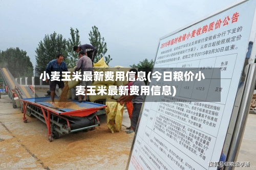 小麦玉米最新费用信息(今日粮价小麦玉米最新费用信息)
