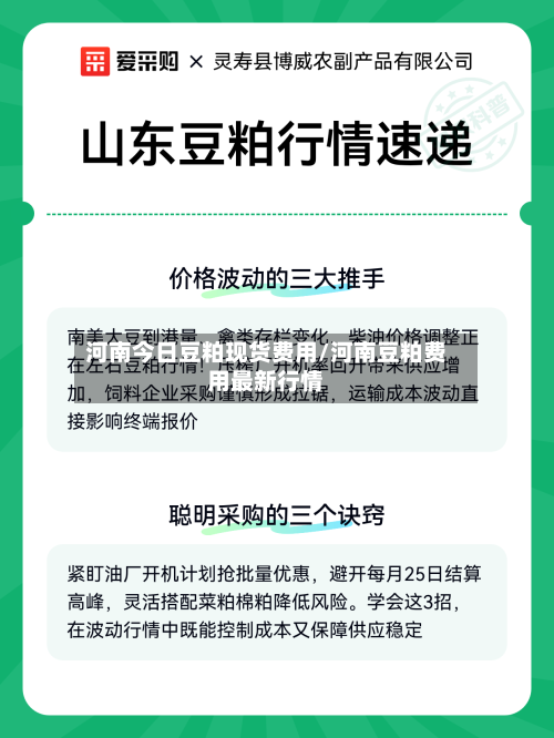 河南今日豆粕现货费用/河南豆粕费用最新行情