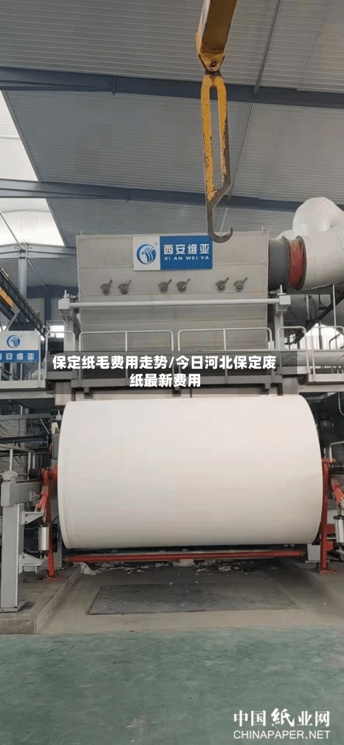 保定纸毛费用走势/今日河北保定废纸最新费用-第3张图片