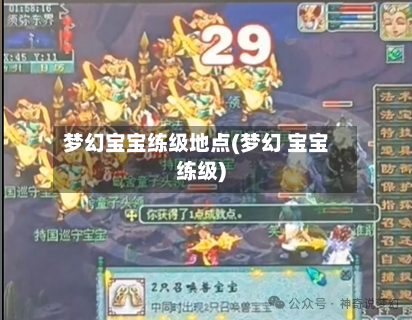 梦幻宝宝练级地点(梦幻 宝宝练级)-第3张图片