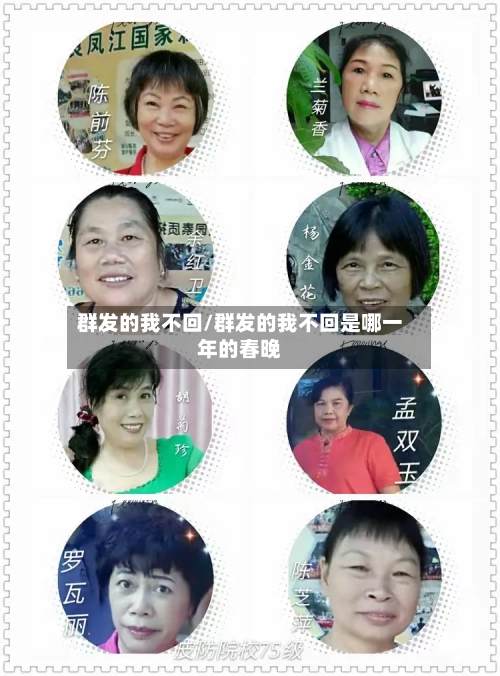 群发的我不回/群发的我不回是哪一年的春晚-第2张图片