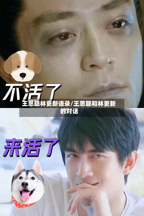 王思聪林更新语录/王思聪和林更新的对话