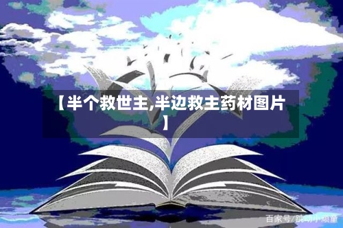 【半个救世主,半边救主药材图片】