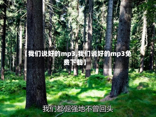 【我们说好的mp3,我们说好的mp3免费下载】