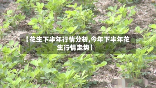 【花生下半年行情分析,今年下半年花生行情走势】