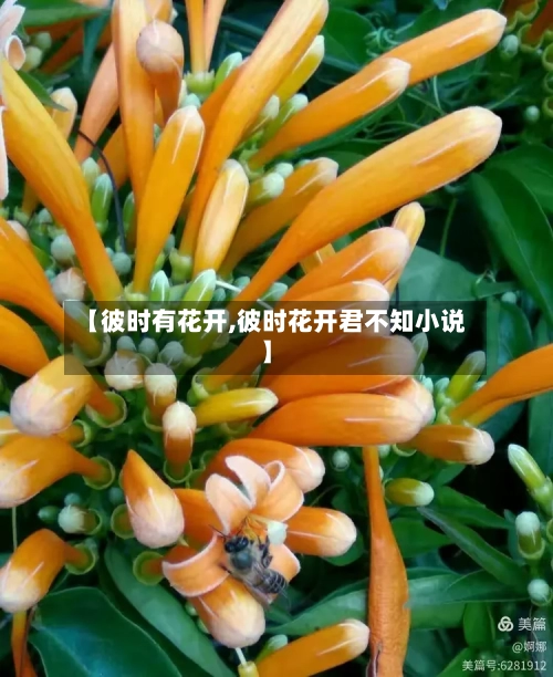 【彼时有花开,彼时花开君不知小说】-第2张图片